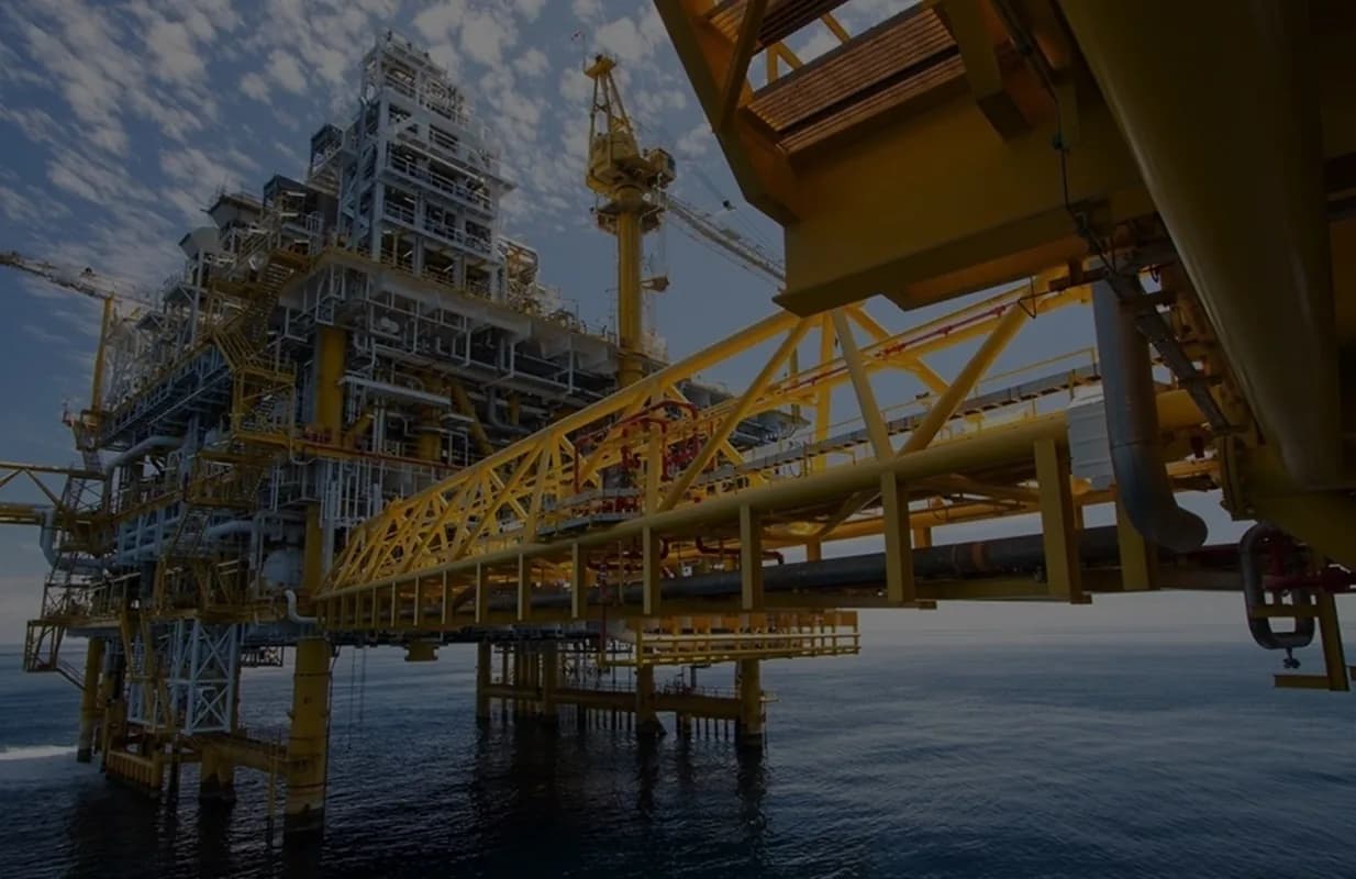 Energy and process industrial plant